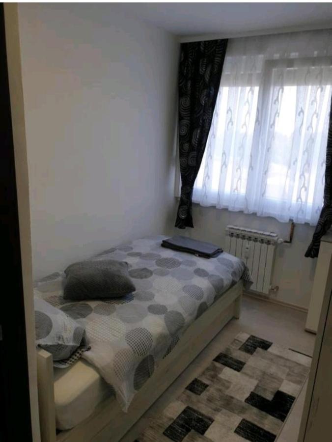 Apartman Lela 卡尔洛瓦茨 外观 照片